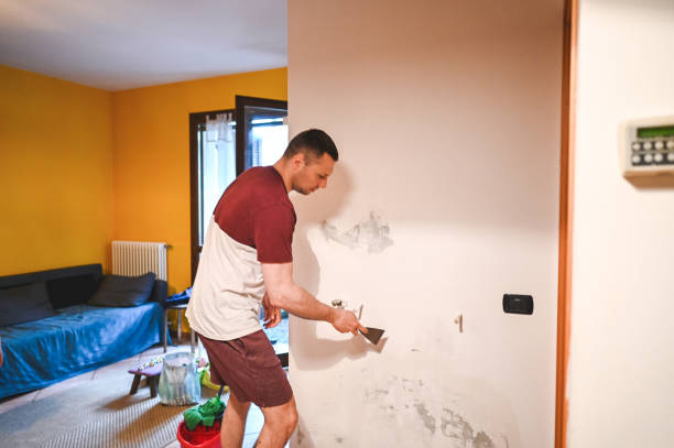 Best Toxic Mold Removal  in Lake St Louis, MO